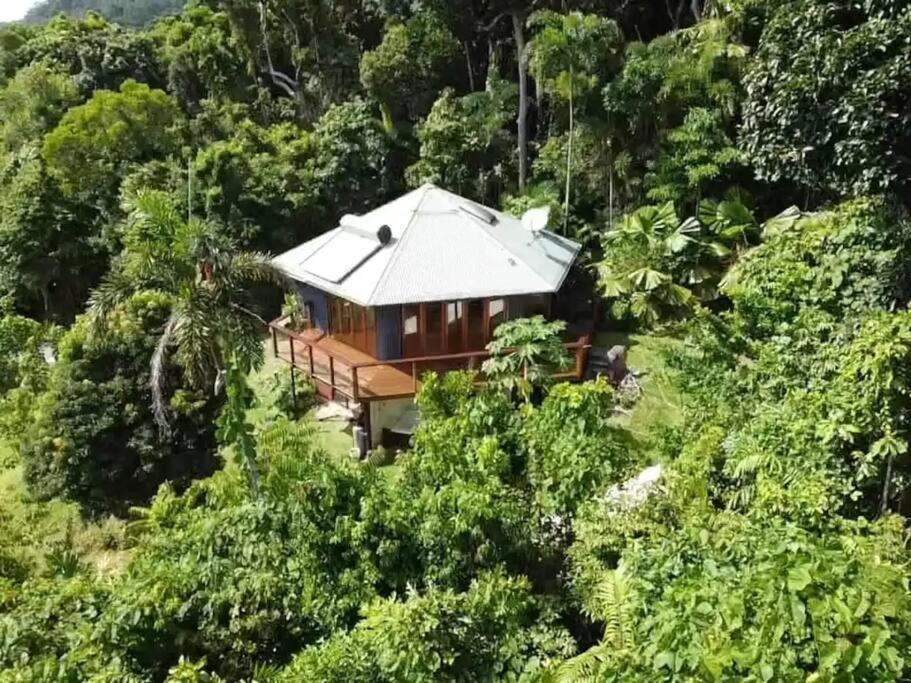 Treeverb Beach House - Daintree Cow Bay 外观 照片