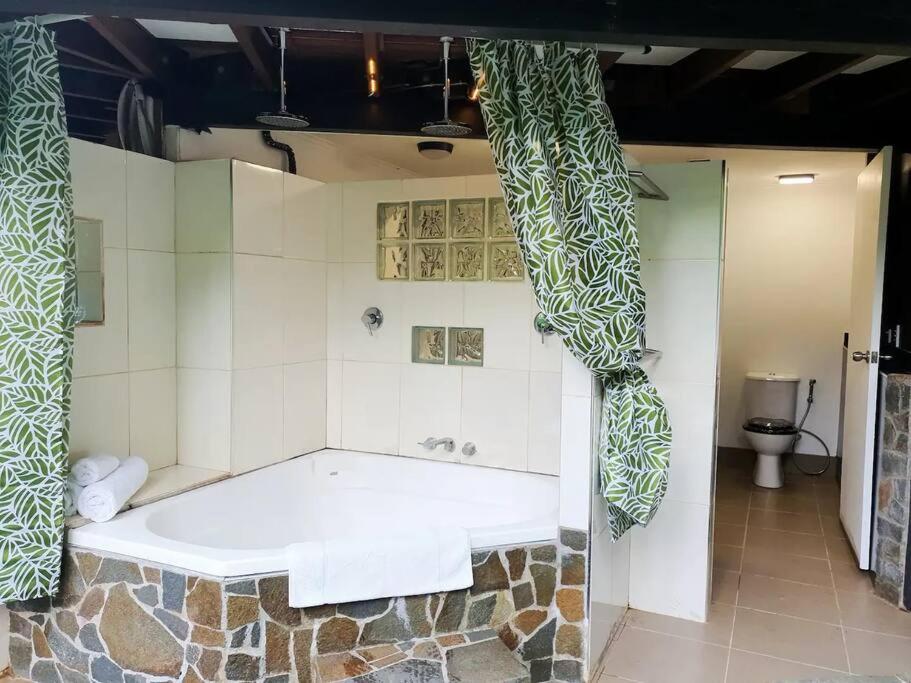Treeverb Beach House - Daintree Cow Bay 外观 照片